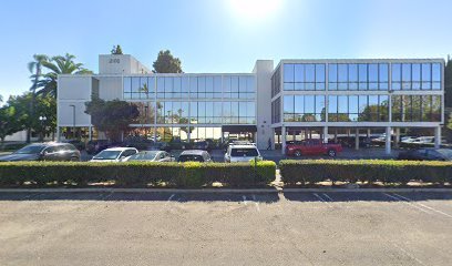 Lex Opus