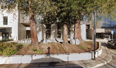 Law Offices of Ann L. Larson