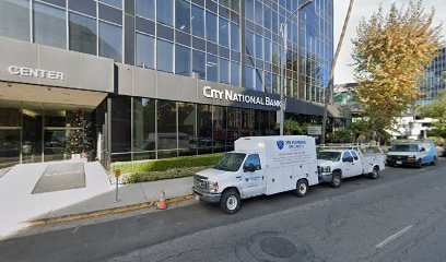 The Law Offices of Michele Cobin Friedlander