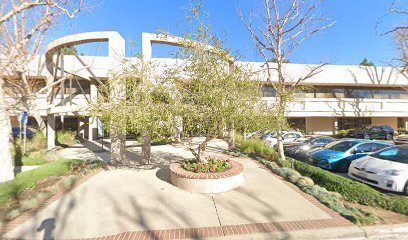 The Law Office of Alan M. Insul