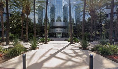 Medicinal & Adult Use Cannabis Business Formation