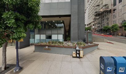 Adelson Law Office, PLLC