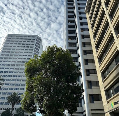 Bracamontes & Vlasak, P.C.