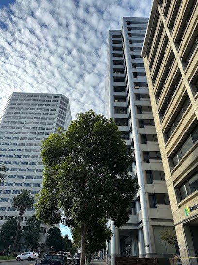 Bracamontes & Vlasak, P.C.