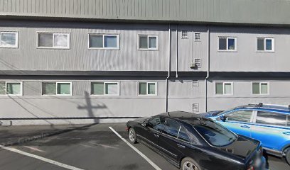 Rose Perkins Pelmulder, APA