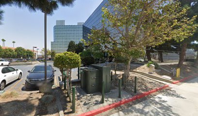 Catalina Reynoso Law