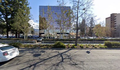 Law Offices of Lauren Ross