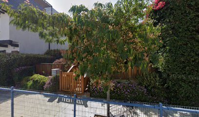 The Sun Also Rises – Wills & Estates