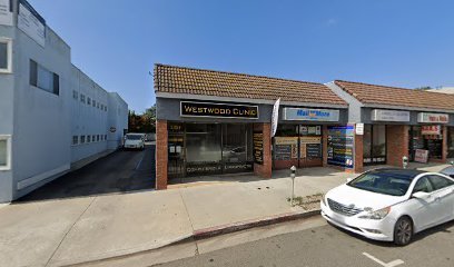 Sheyda Semnani, Attorney at Law