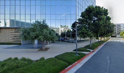 Mishra X Trial Lawyers