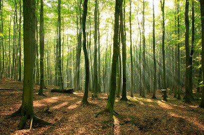 Law Offices of Jina A. Nam and Associates