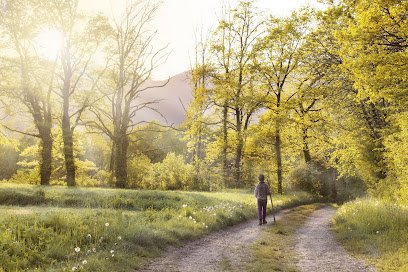 Law Office of Maria Caroline Engfelt