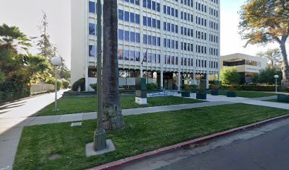 International Law Group