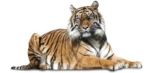 Bowman and Brooke LLP